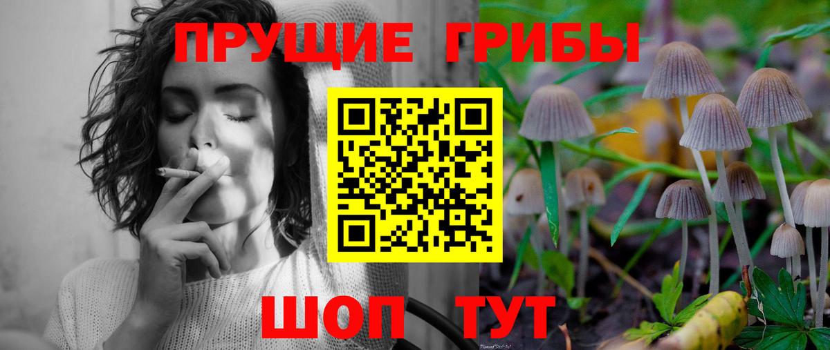 Галлюциногенные грибы GOLDEN TEACHER Верхняя Пышма